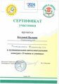Интеллектуальный конкурс "Умники и умницы" 2
